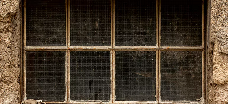 Traditional Double Front Doors in Fort Pierce, FL