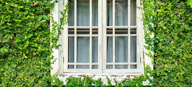Garden Window Repair Near Me in Fort Pierce, FL